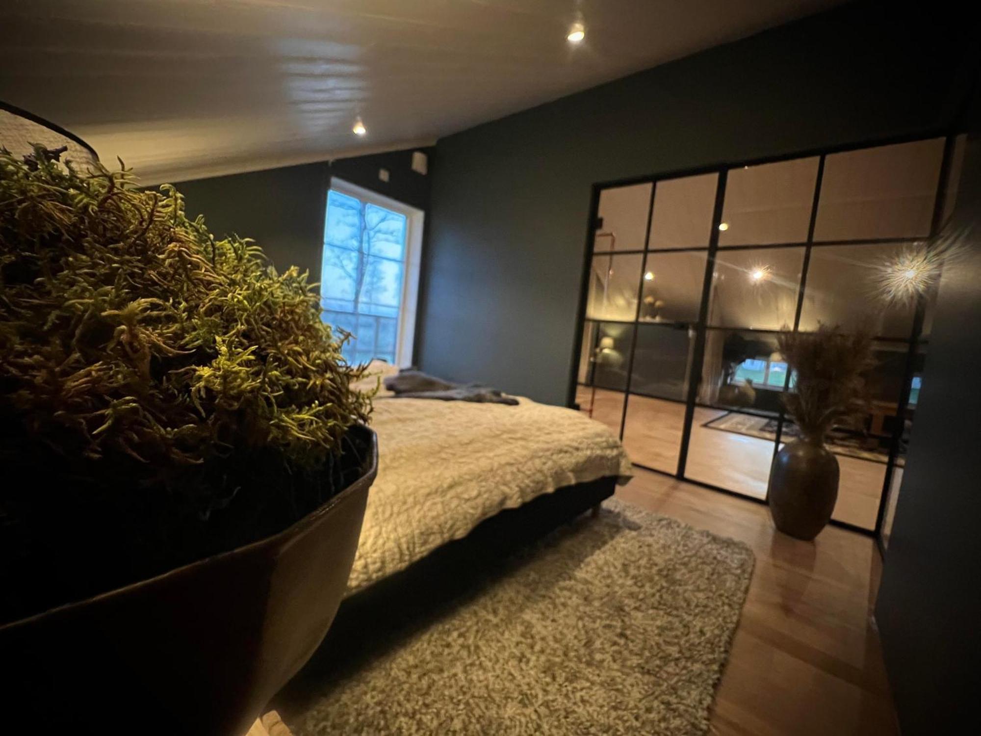 Mysig Laegenhet Med Oeppen Planloesning Pa Haestgard. Villa Ljung Ngoại thất bức ảnh